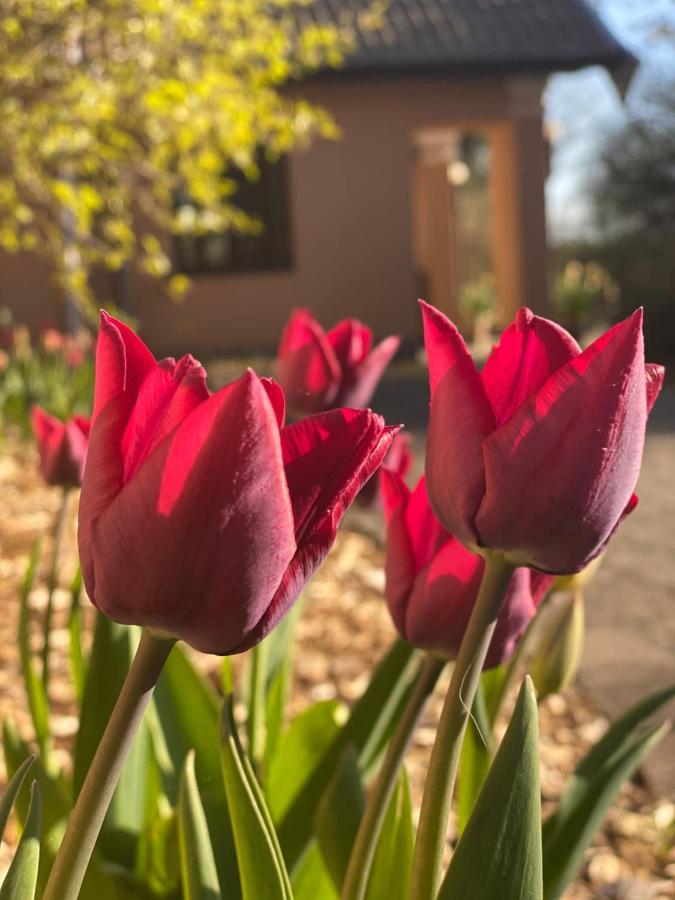 Borgdal Bed & Breakfast Silkeborg Dış mekan fotoğraf